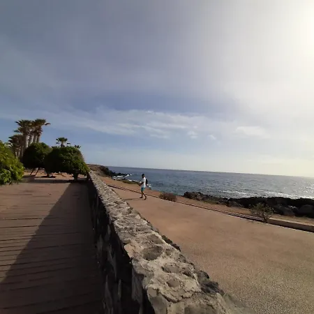 Tenerife - Aloe & Cactus