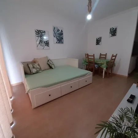 Tenerife - Aloe & Cactus *