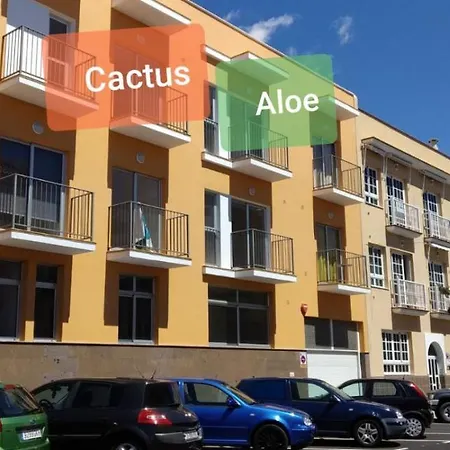 Tenerife - Aloe & Cactus