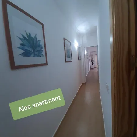 Tenerife - Aloe&cactus Apartamento